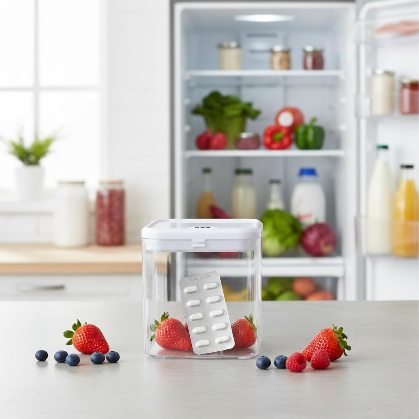 Clear Lockable Box Versatile L - đánh giá và giá Food & Snacks Coloring