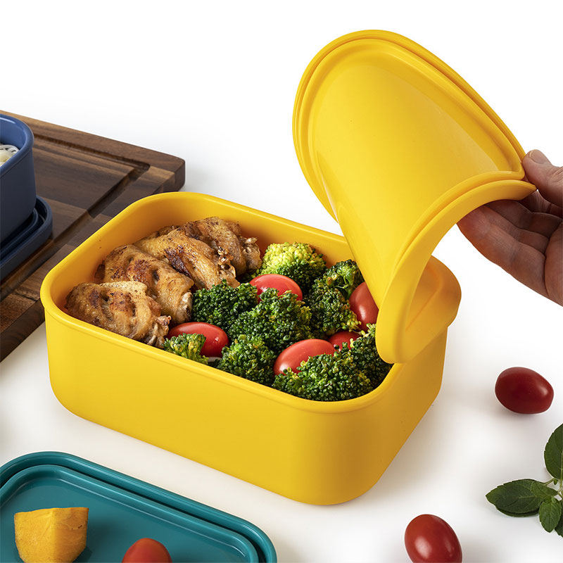 Food-grade Silicone Lunch Box  - đánh giá và giá Food Snacks For Picnic